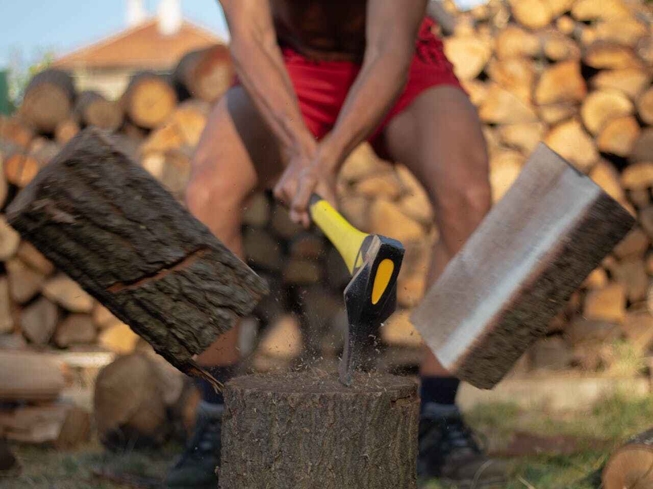 The Steps Involved in Our Tree Care Process in West Fargo, ND